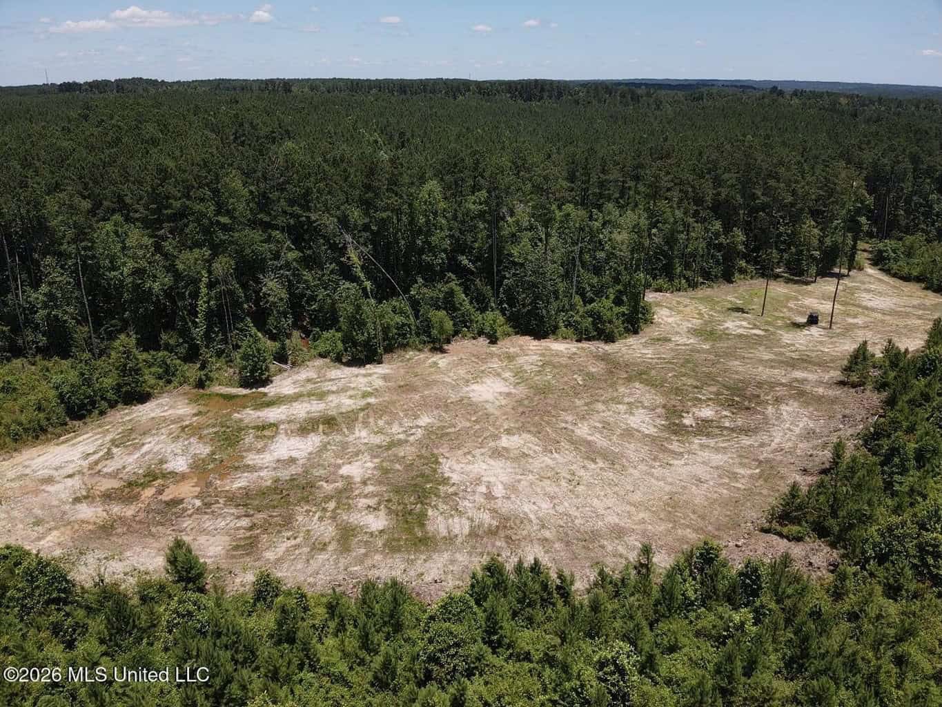 Wilkinson County MS Hunting Land for Sale