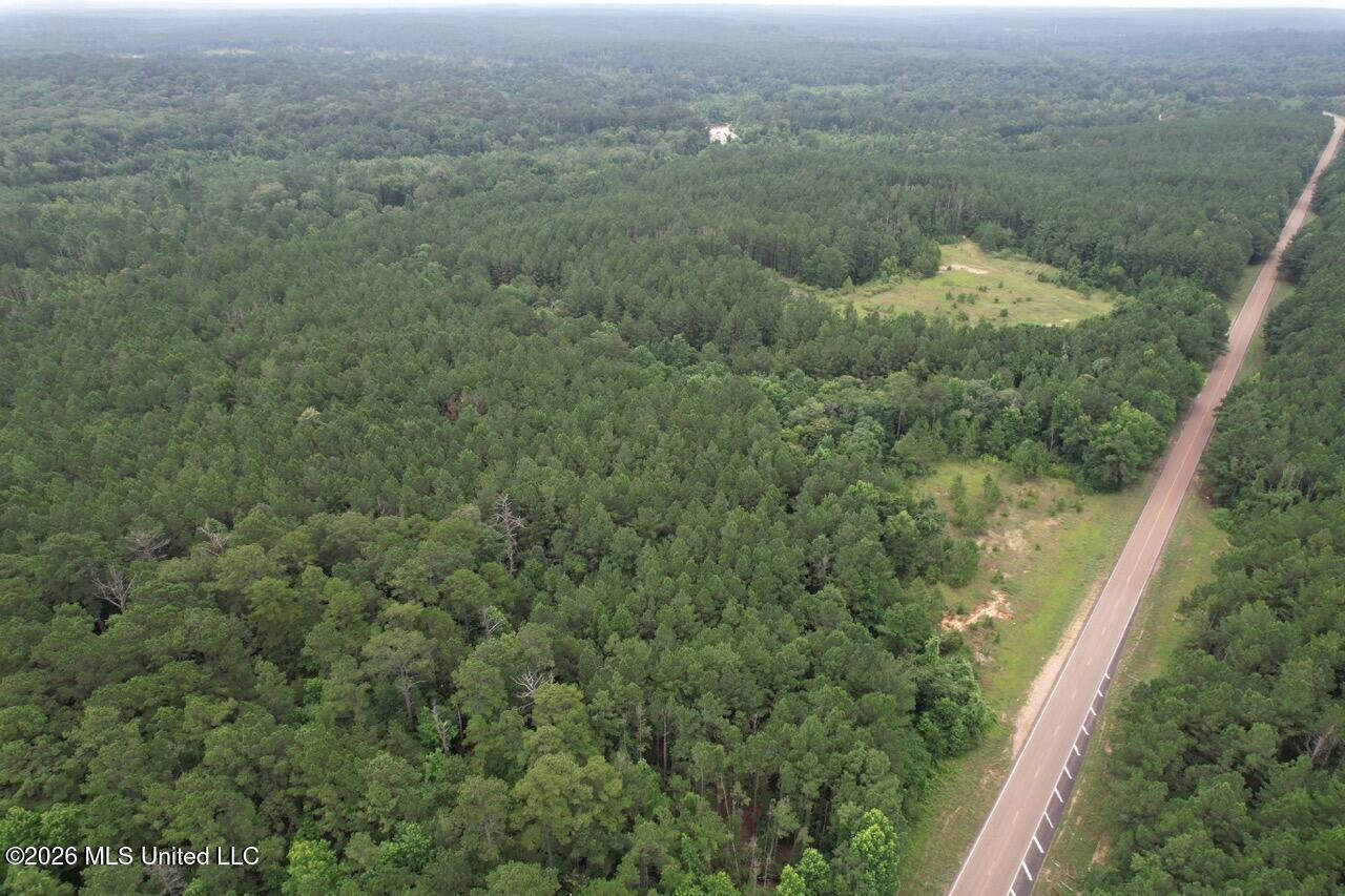 Crosby, MS Hunting Land by Homochitto National Forest