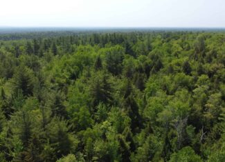 Large Land Parcel – 100 Acres in Maxfield, Maine