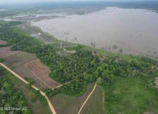 88 Acre Hunting Property – Wilkinson County, MS