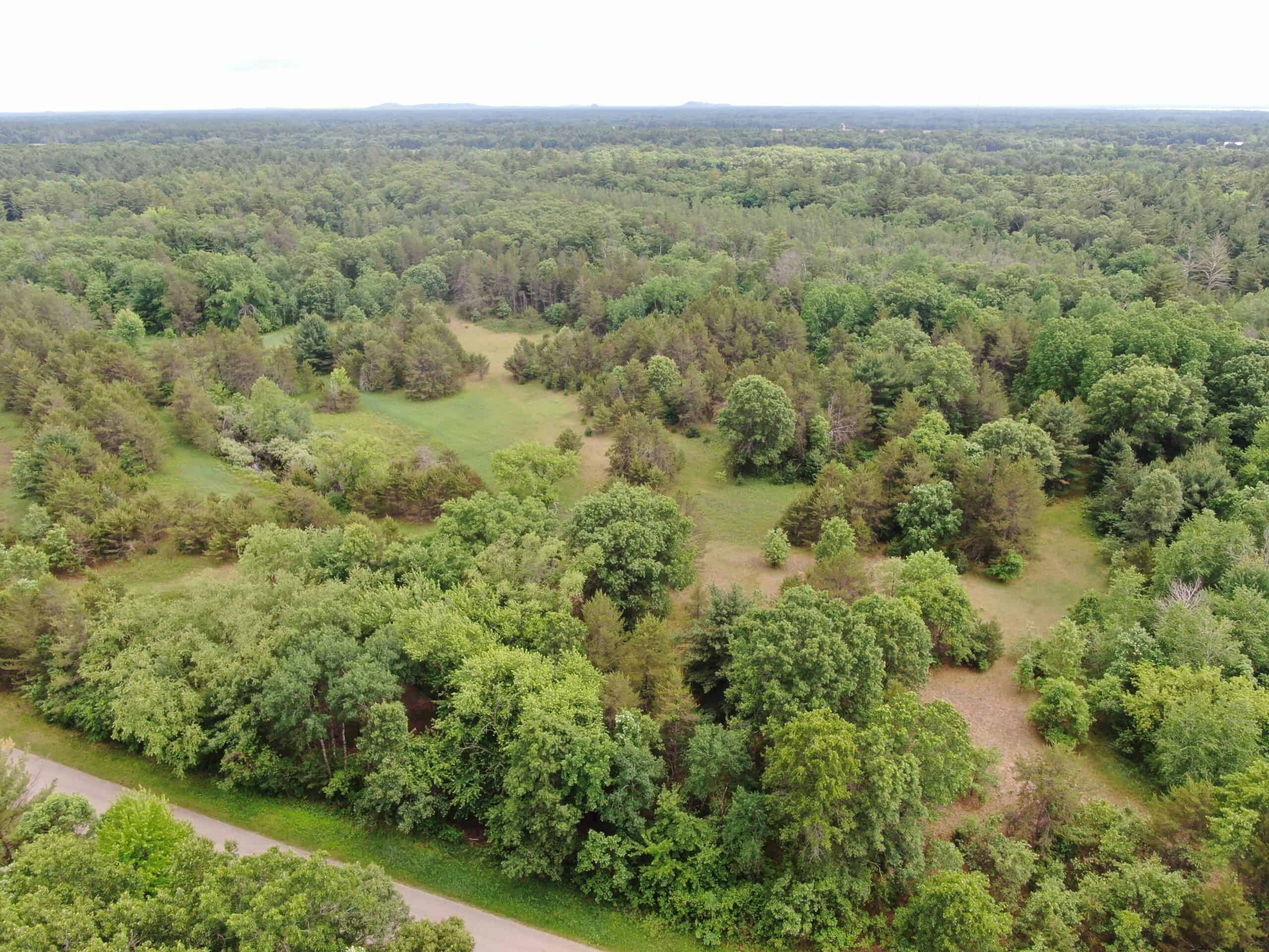 Forty acres in Adams County located in the Town of Strongs Prairie