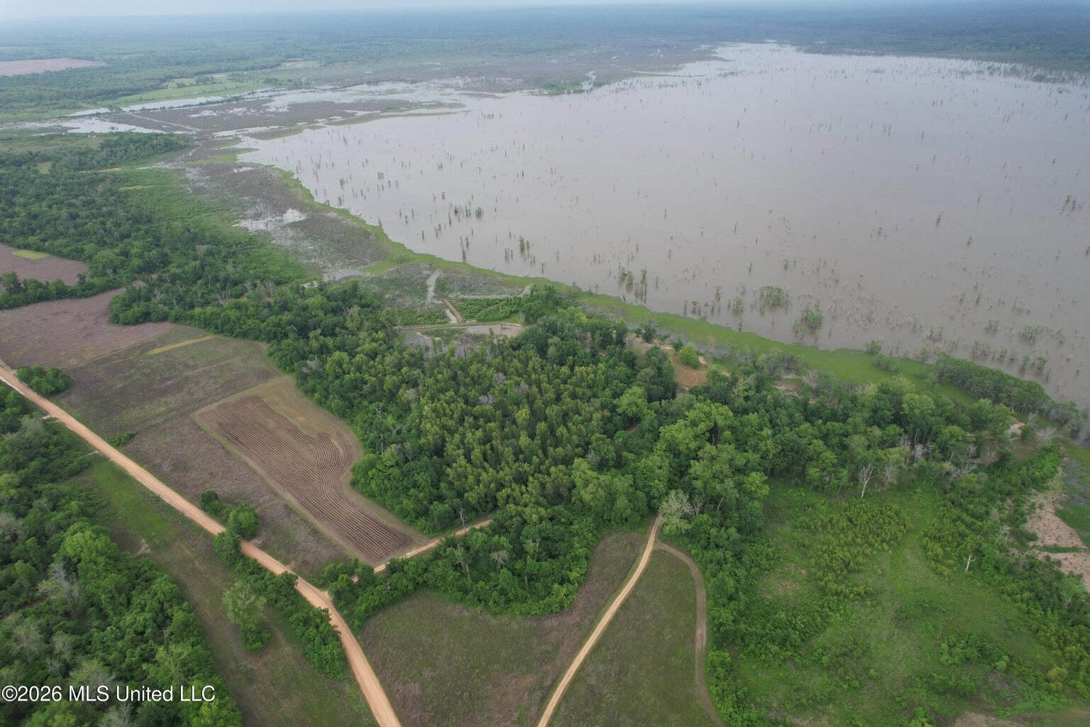 88 Acre Hunting Property – Wilkinson County, MS