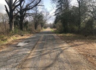 88.5 acres Hunting & Timber Land for Sale in Utica, Ms