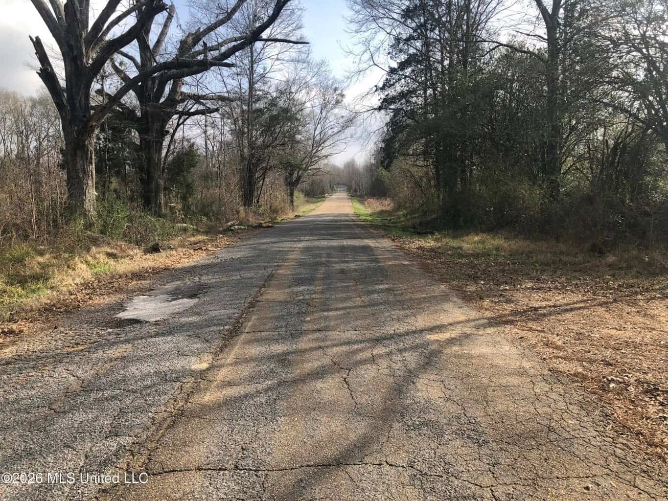 88.5 acres Hunting & Timber Land for Sale in Utica, Ms