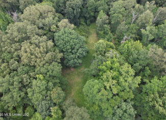 44 Acre Hunting Land in Wilkinson County, MS