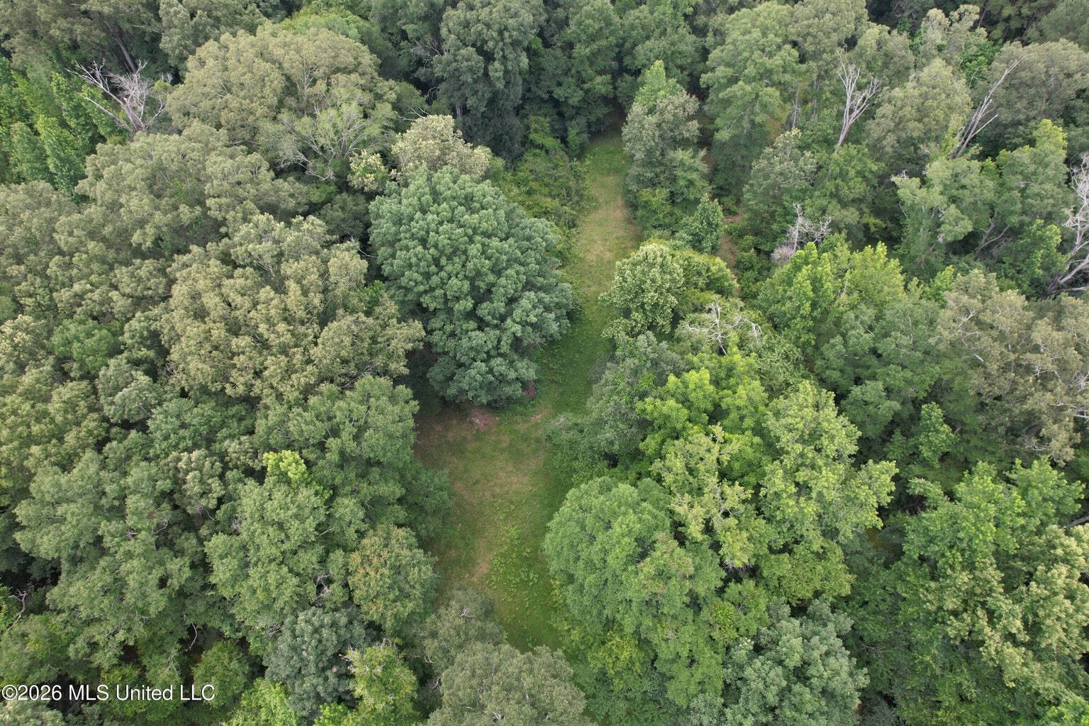 44 Acre Hunting Land in Wilkinson County, MS
