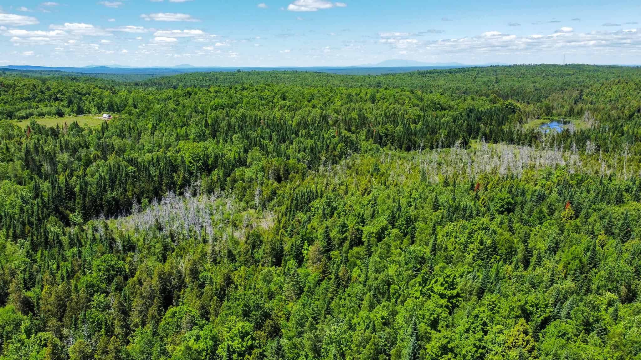 Large Acreage Maine Land for Sale Near West Grand Lake Chain