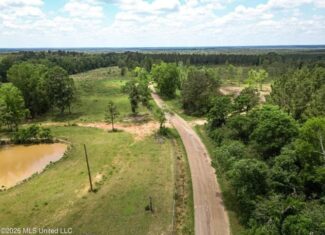 Pasture Land for Sale in Lincoln County, MS