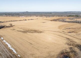 Online Auction 125± Acres of Farmland, Recreation & Investment Property