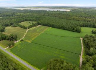 56 Acres Farmland & Timber with Hunting in NC