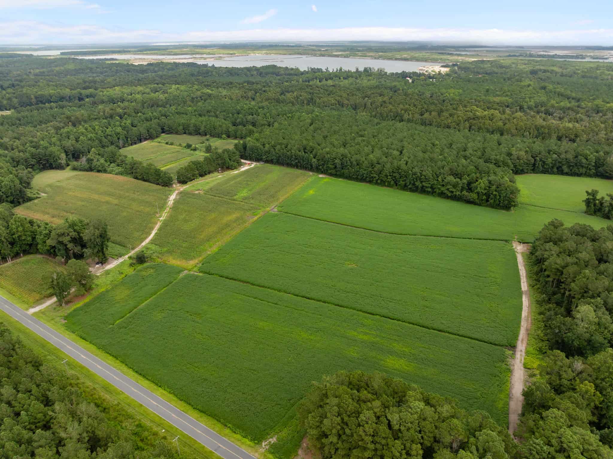 56 Acres Farmland & Timber with Hunting in NC