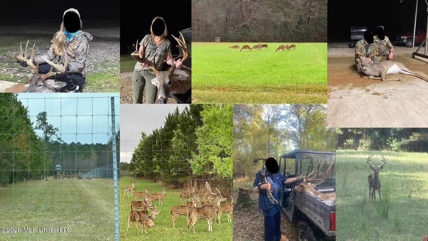 Paradise Whitetails in Oakdale, LA – 1,116± Acres