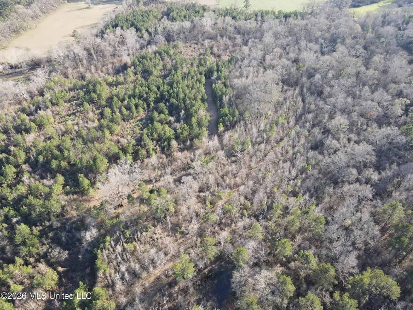 Hazlehurst MS Hunting Land for Sale