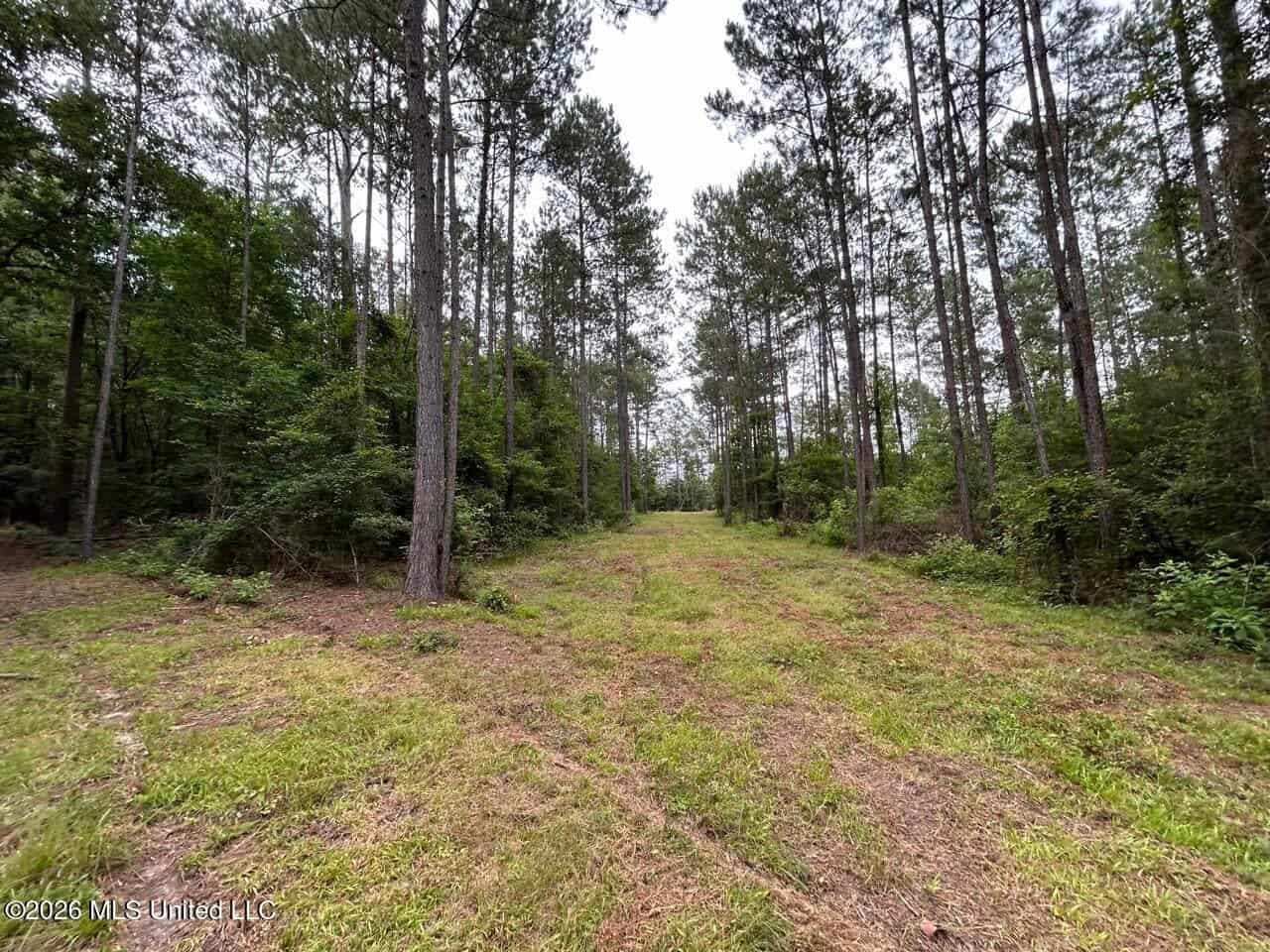 120± Acres for Sale in Osyka, MS on Tickfaw River