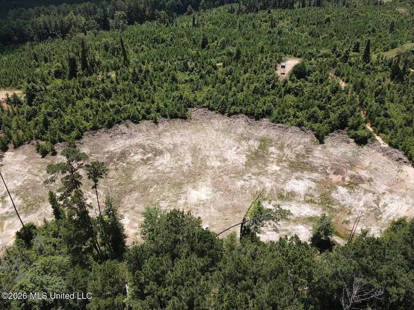 Wilkinson County MS Hunting Land for Sale