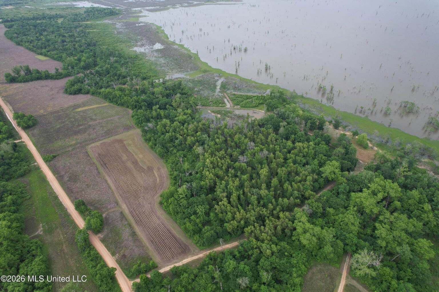 88 Acre Hunting Property – Wilkinson County, MS