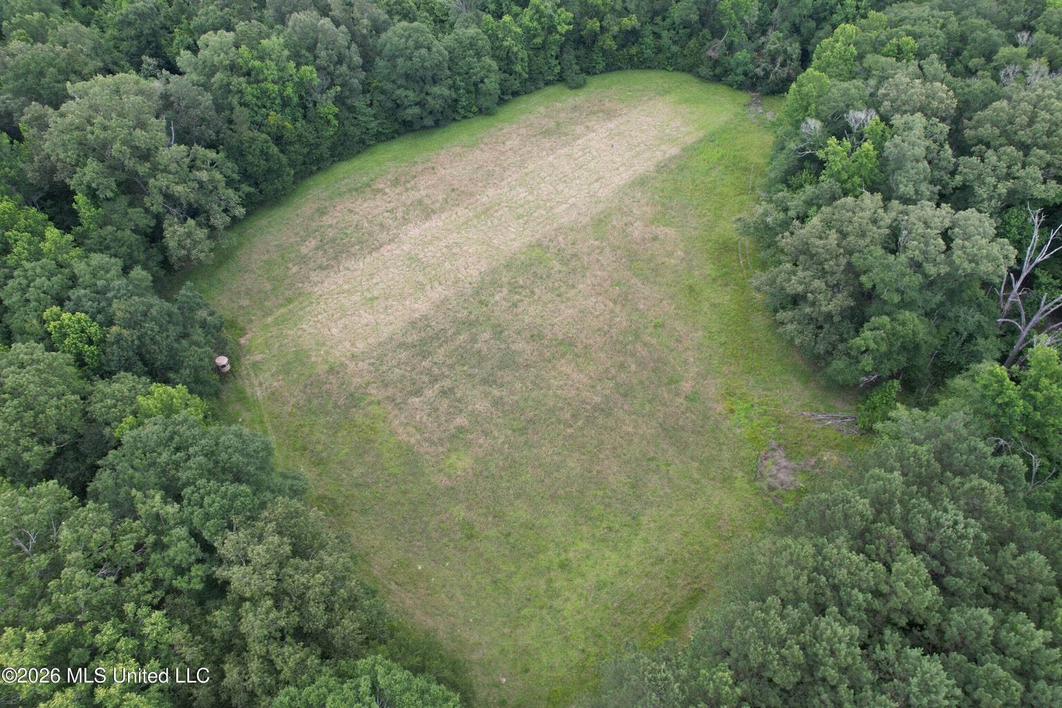 44 Acre Hunting Land in Wilkinson County, MS
