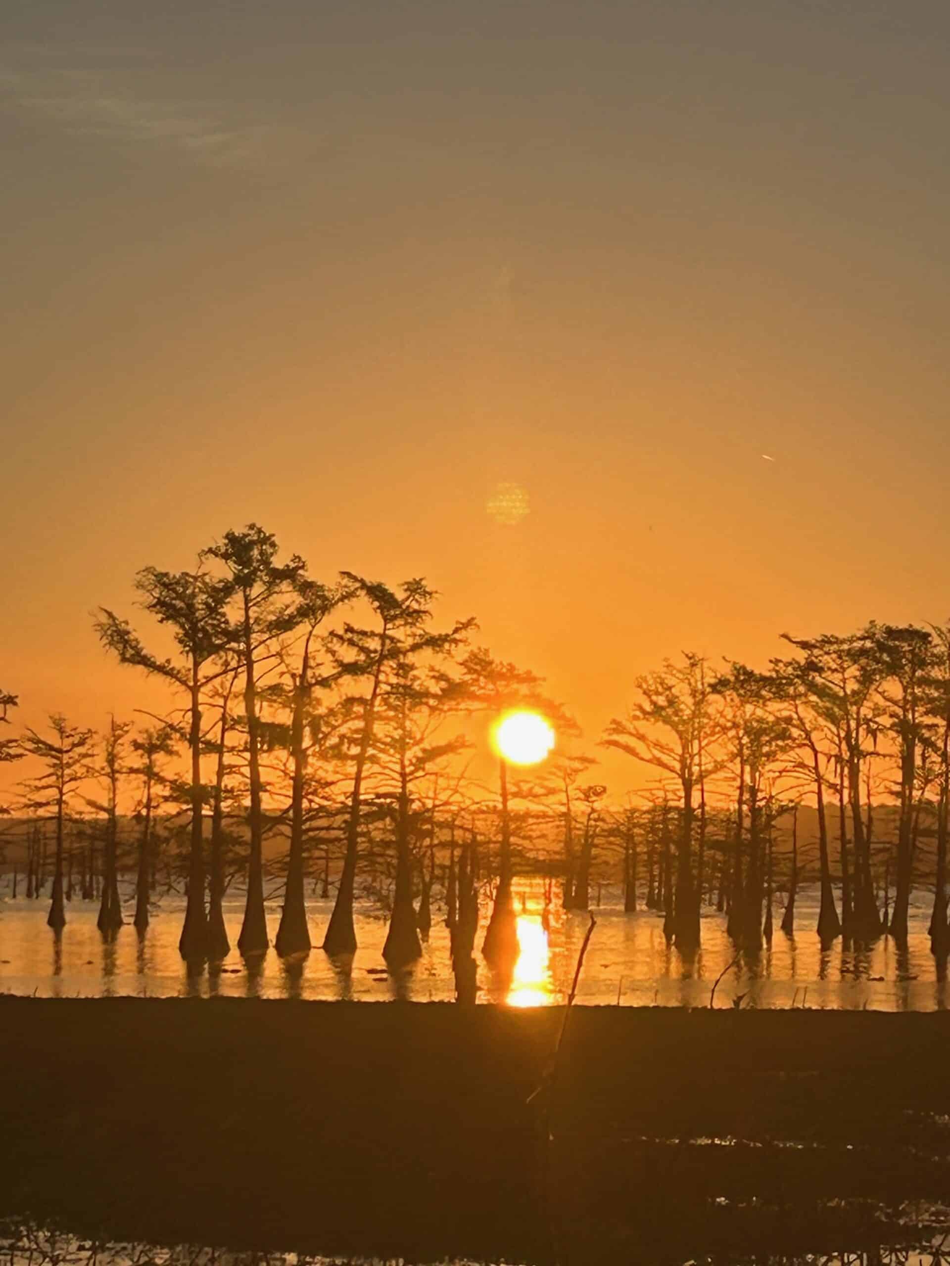 88 Acre Hunting Property – Wilkinson County, MS