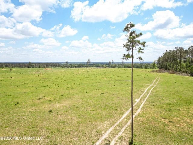 Pasture Land for Sale in Lincoln County, MS