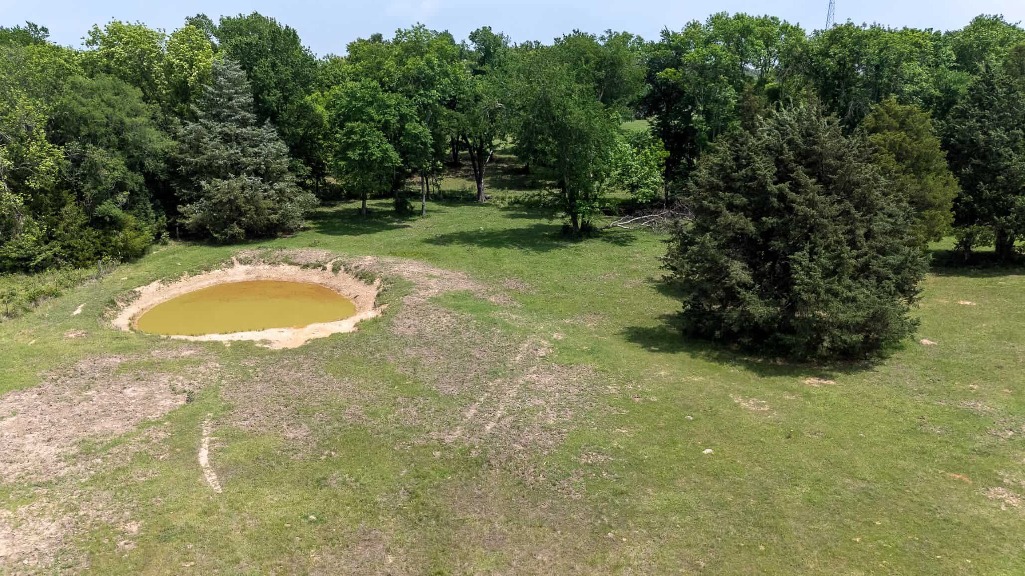 47.79-Acre Hunting Land with Cabin for Sale Ben Wheeler TX