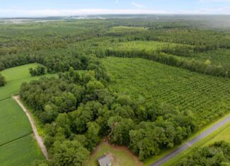 56 Acres Farmland & Timber with Hunting in NC