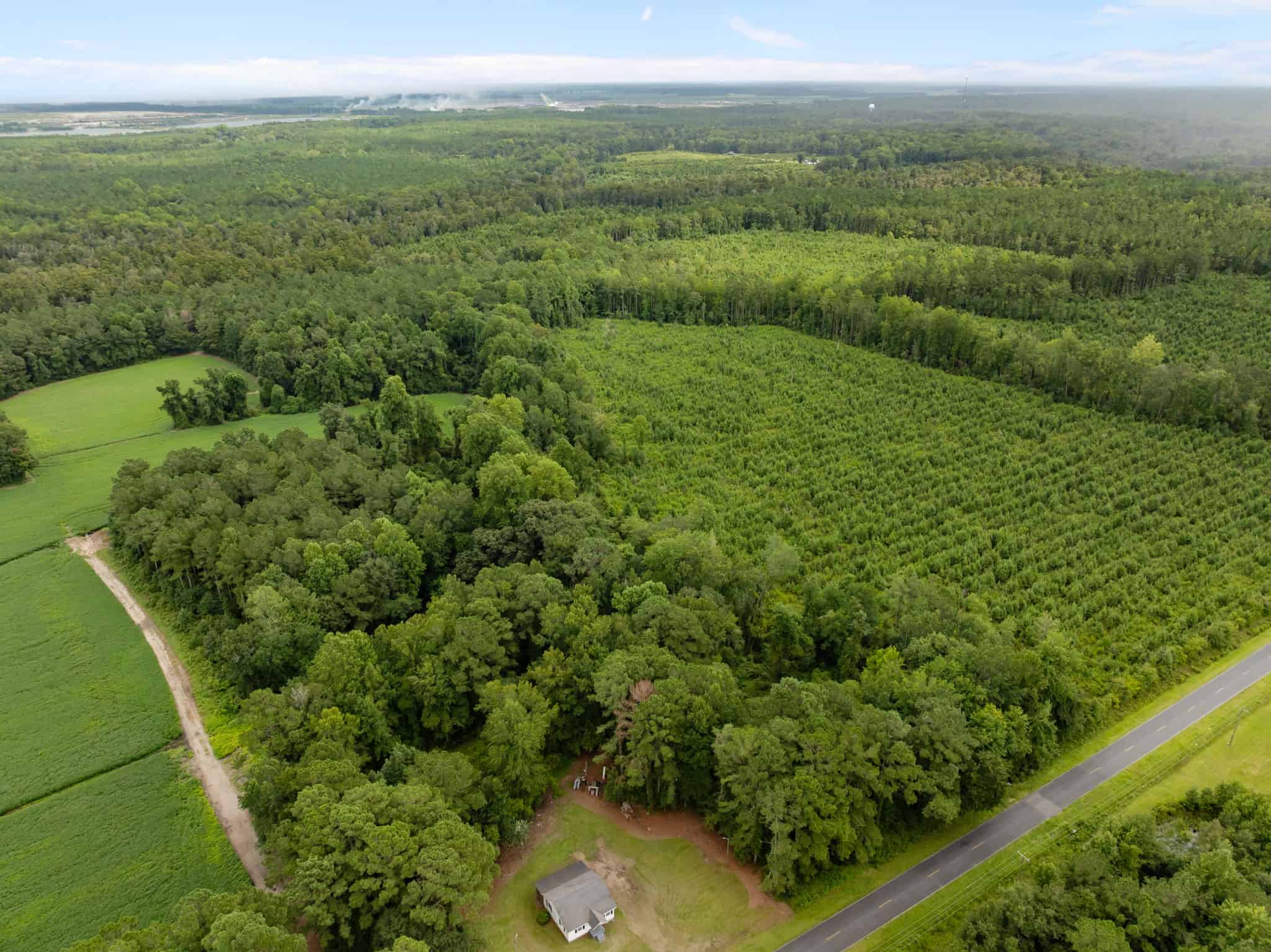 56 Acres Farmland & Timber with Hunting in NC