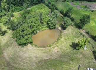 61 Acres and Hunting Camp For Sale Lawrence County Mississippi