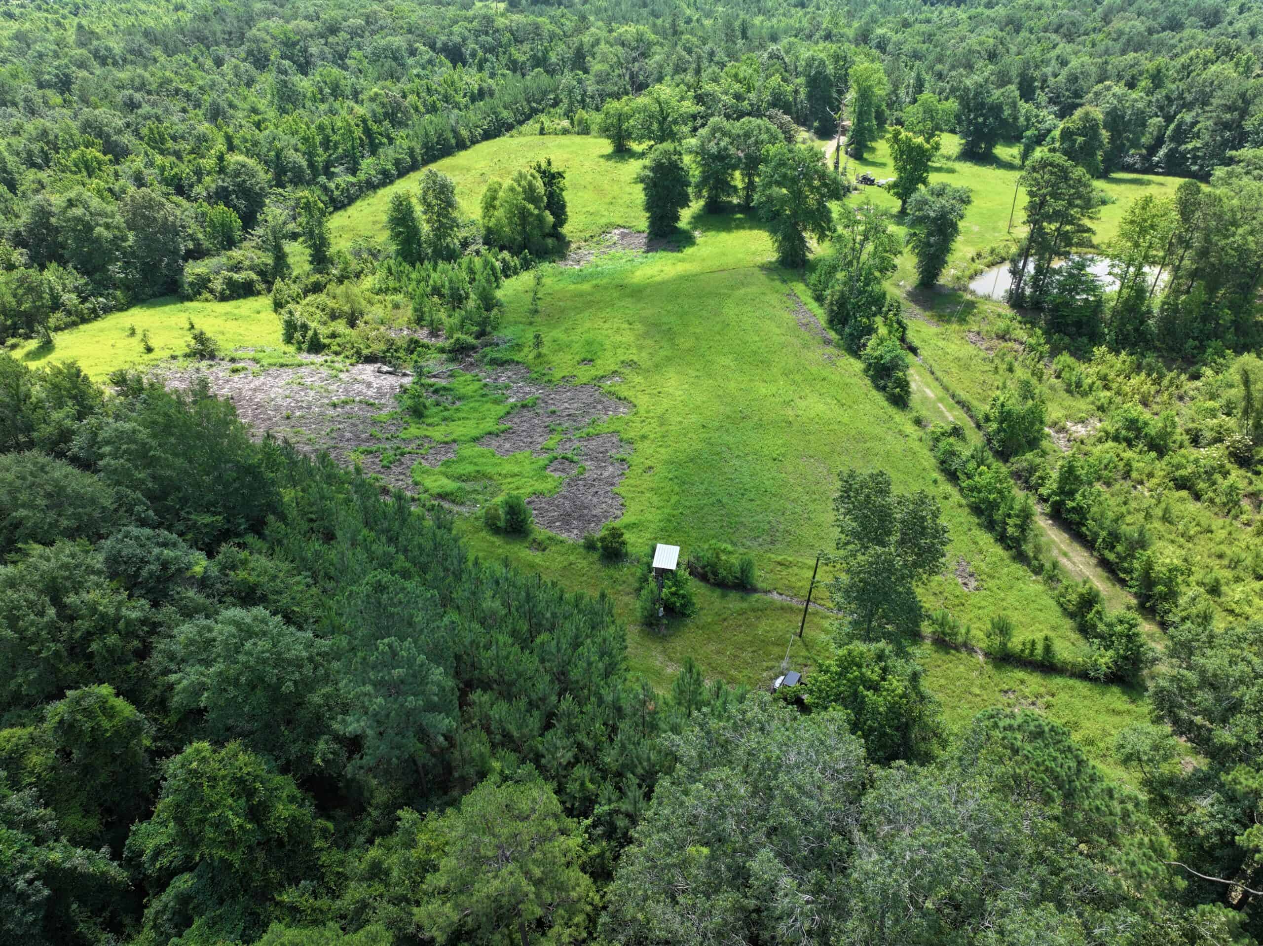 61 Acres and Hunting Camp For Sale Lawrence County Mississippi