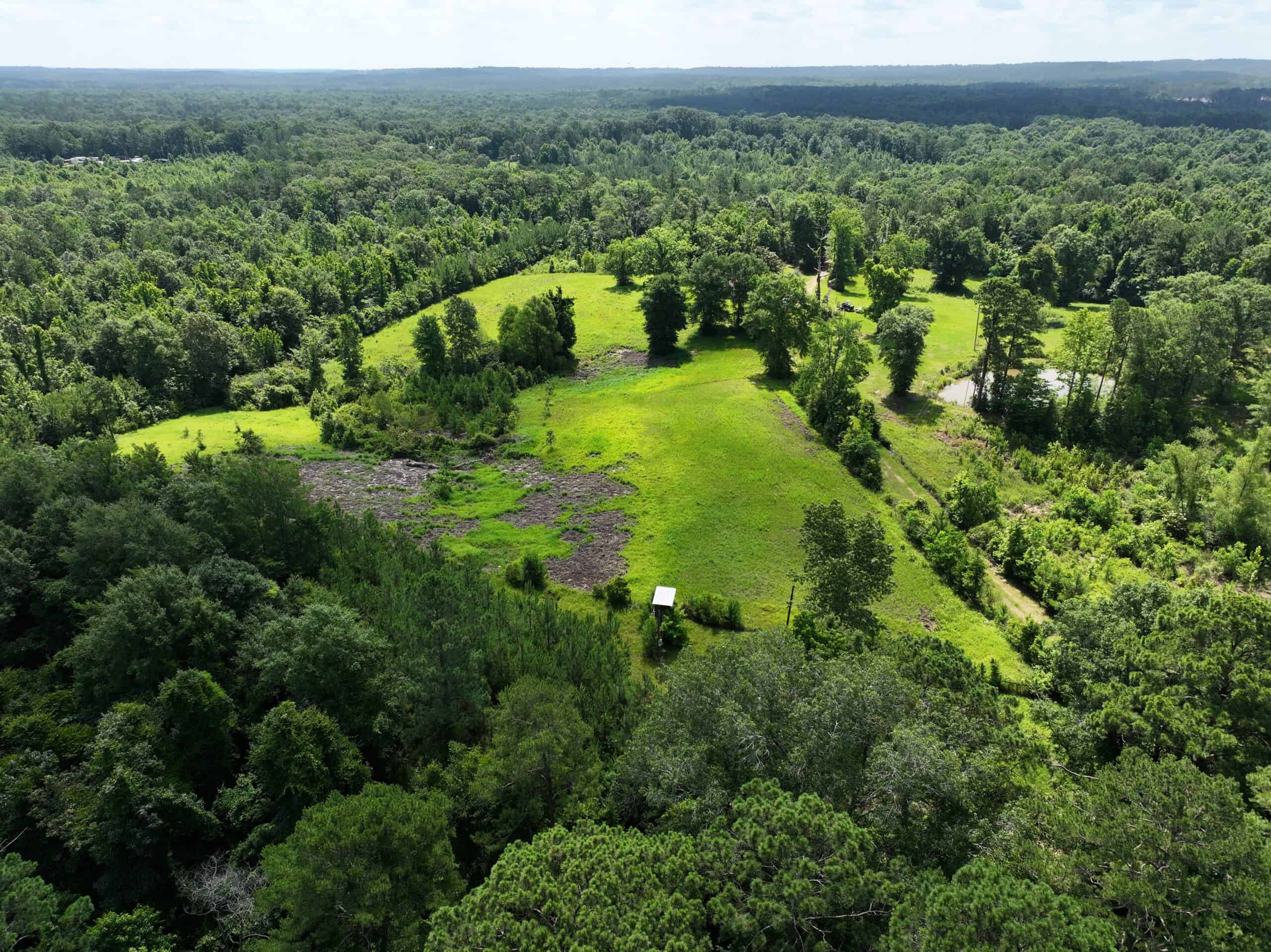 61 Acres and Hunting Camp For Sale Lawrence County Mississippi