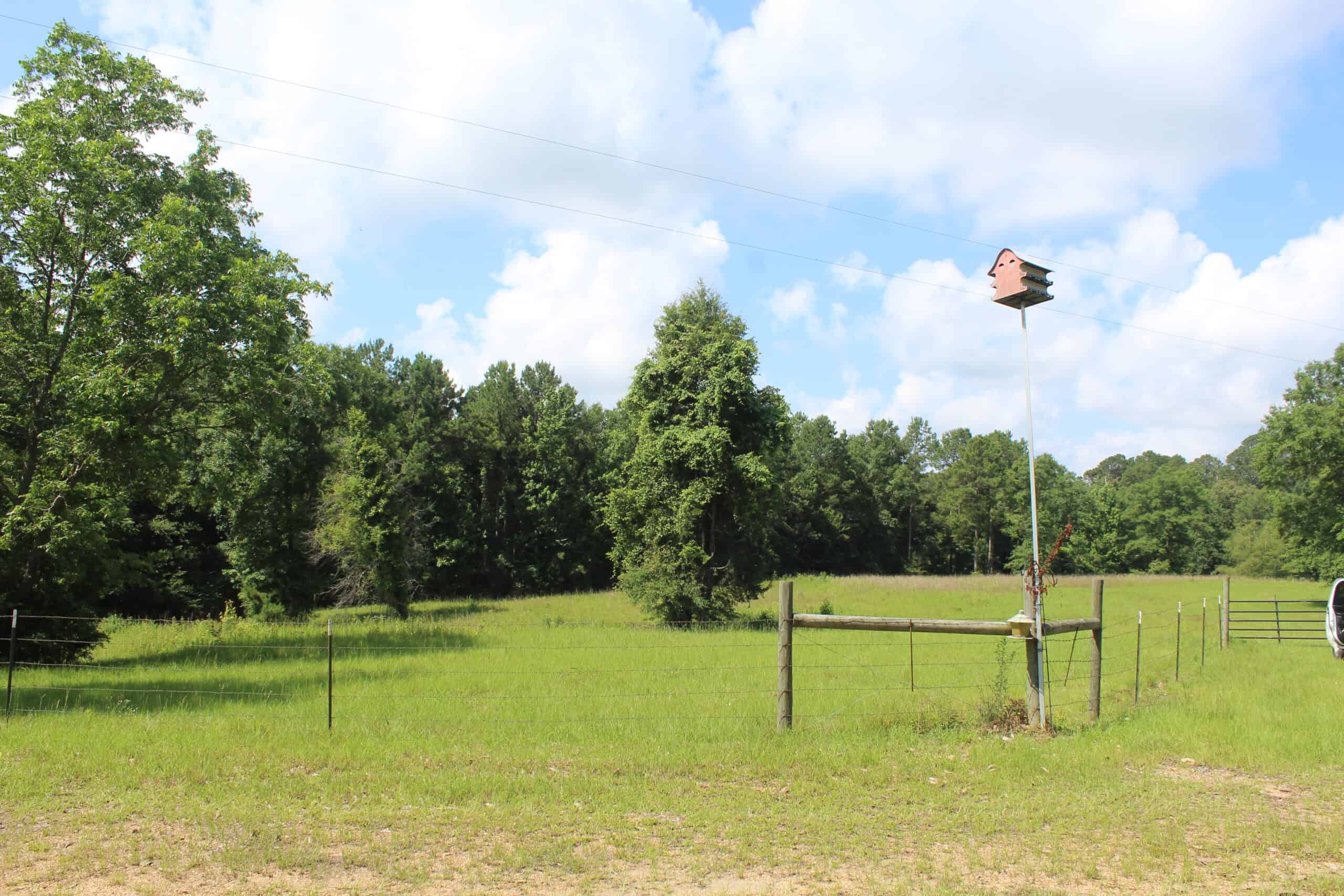 61 Acres and Hunting Camp For Sale Lawrence County Mississippi