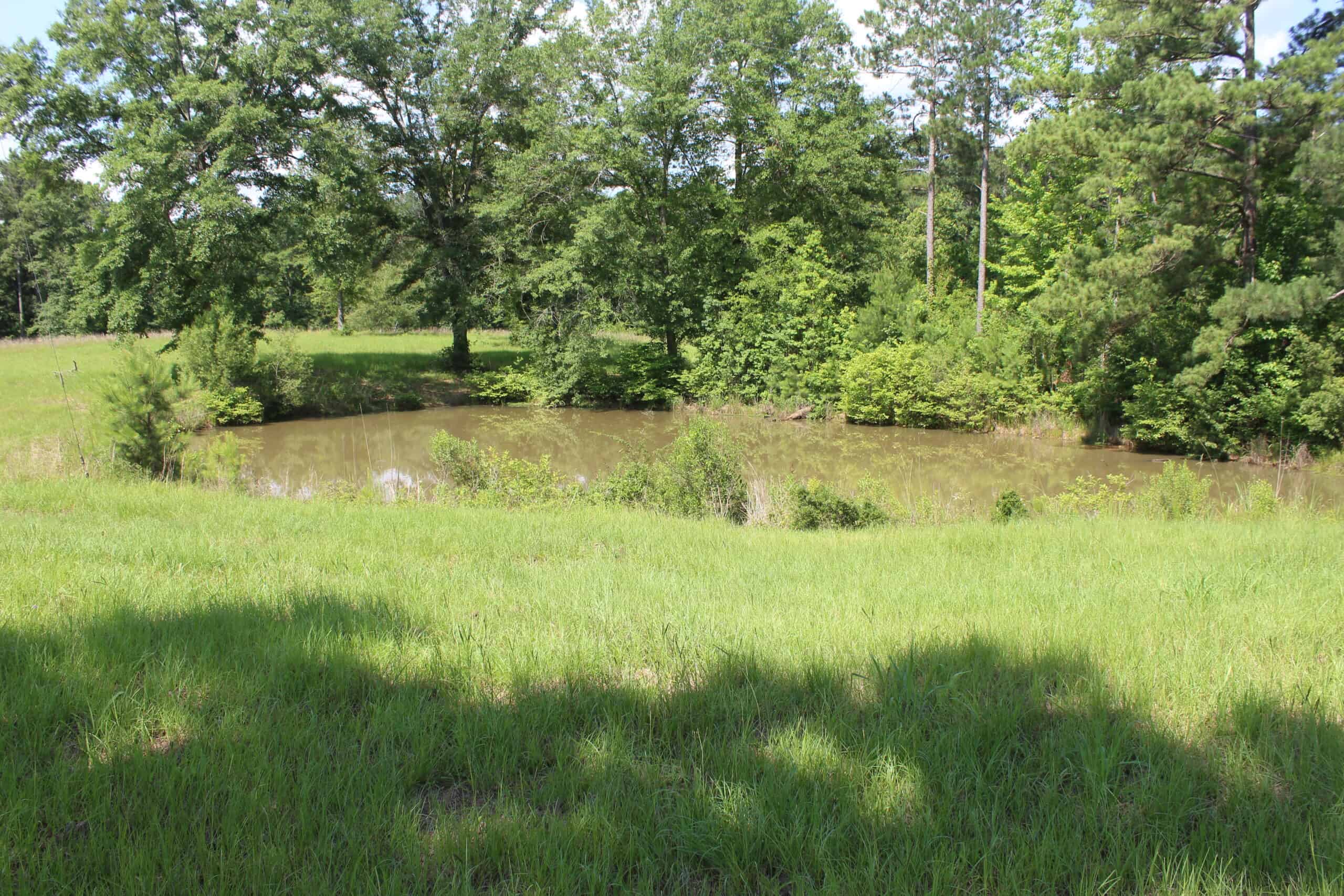 61 Acres and Hunting Camp For Sale Lawrence County Mississippi