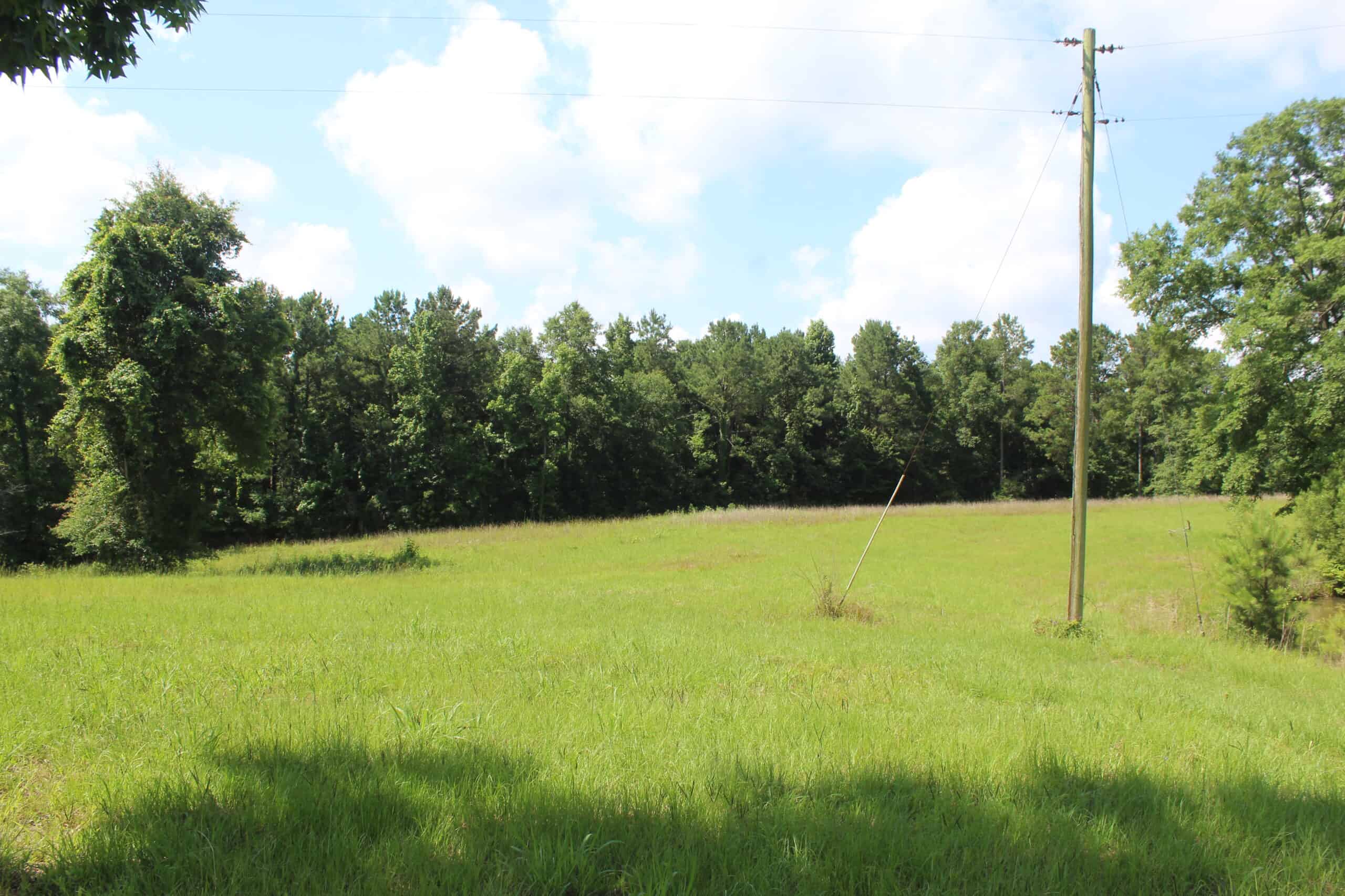 61 Acres and Hunting Camp For Sale Lawrence County Mississippi