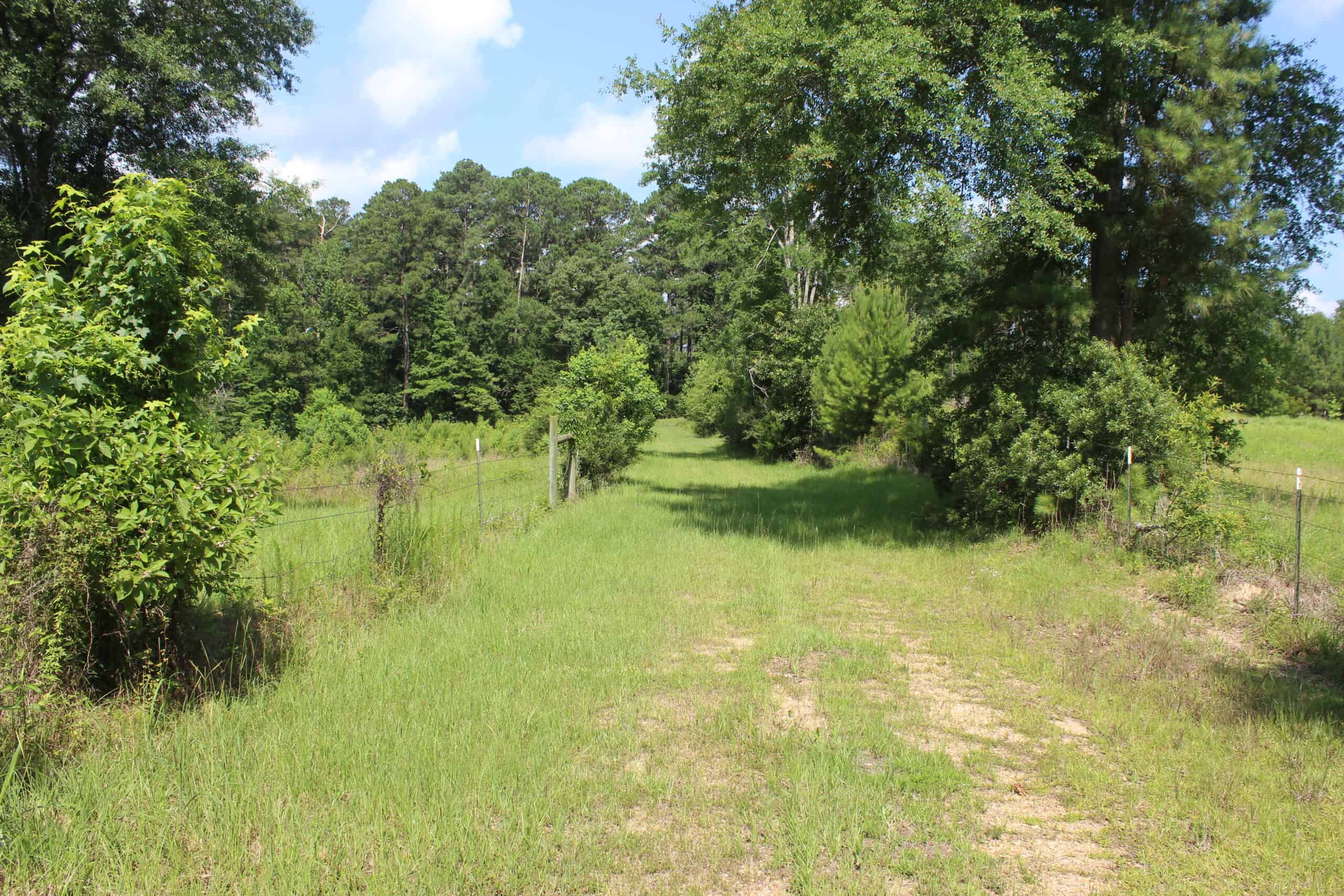 61 Acres and Hunting Camp For Sale Lawrence County Mississippi