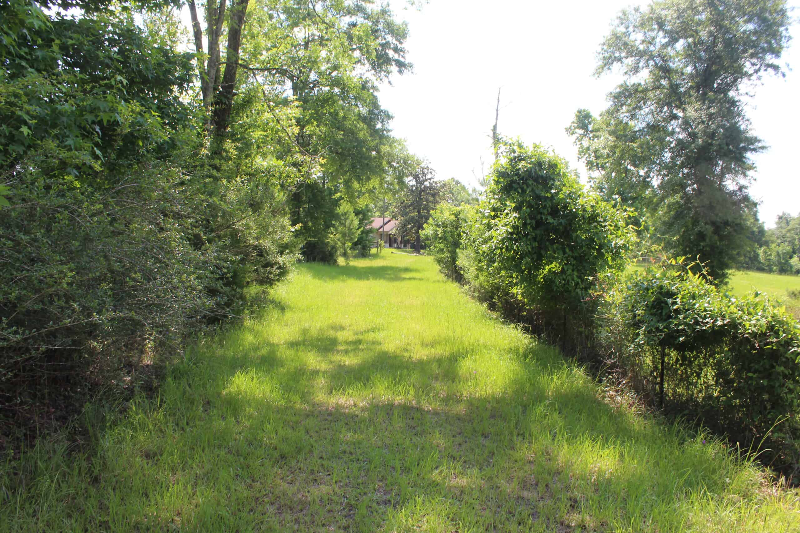 61 Acres and Hunting Camp For Sale Lawrence County Mississippi