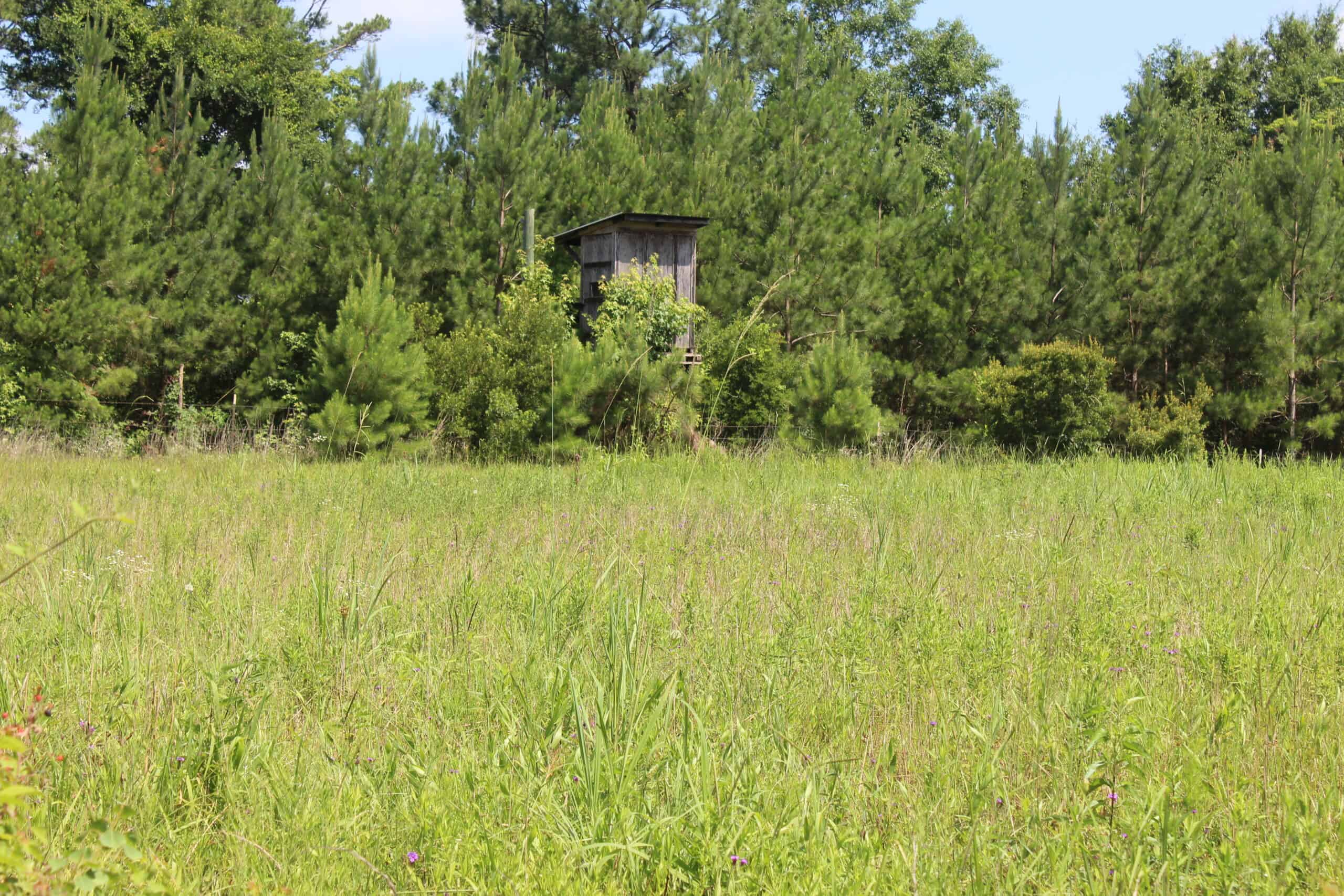 61 Acres and Hunting Camp For Sale Lawrence County Mississippi