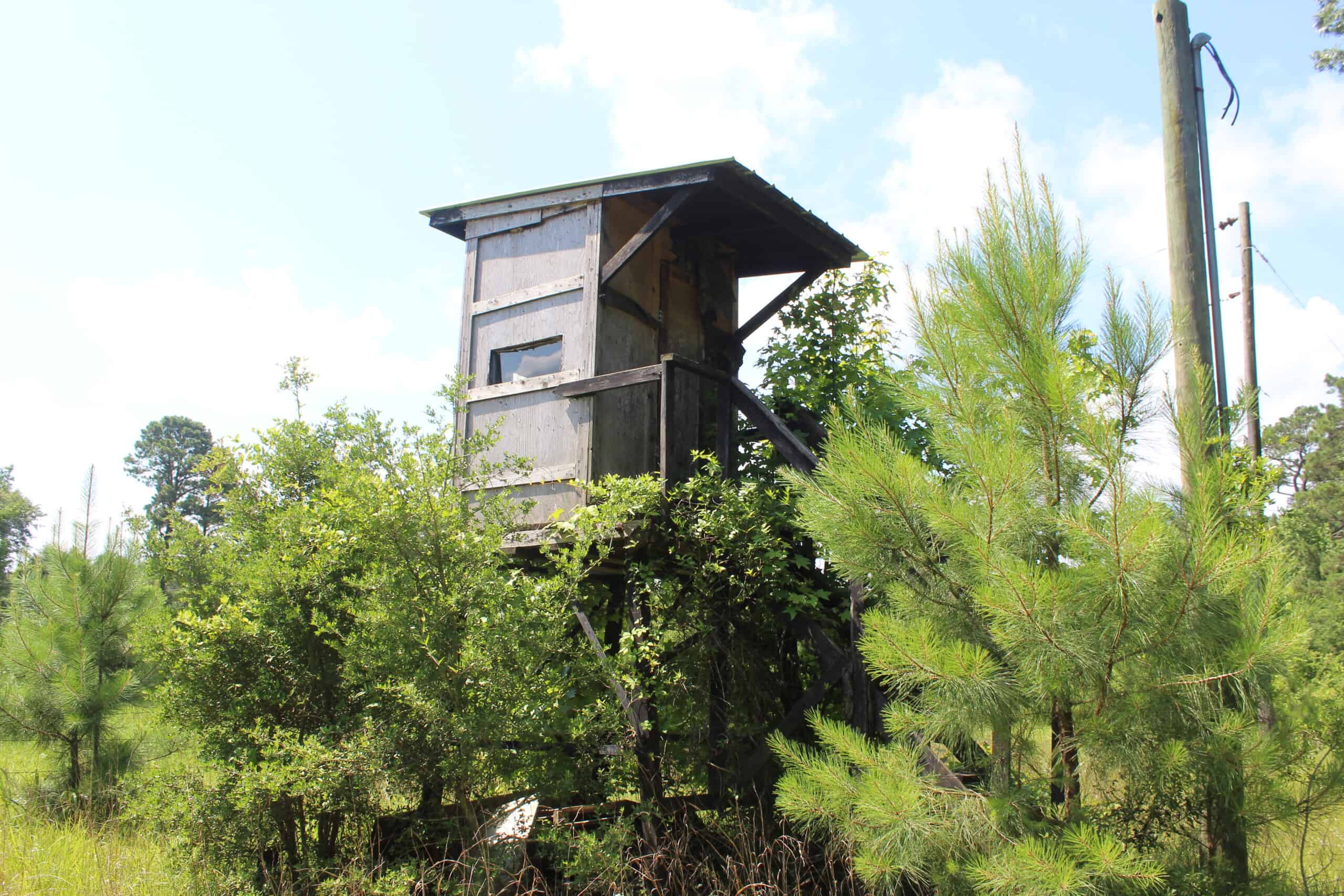 61 Acres and Hunting Camp For Sale Lawrence County Mississippi