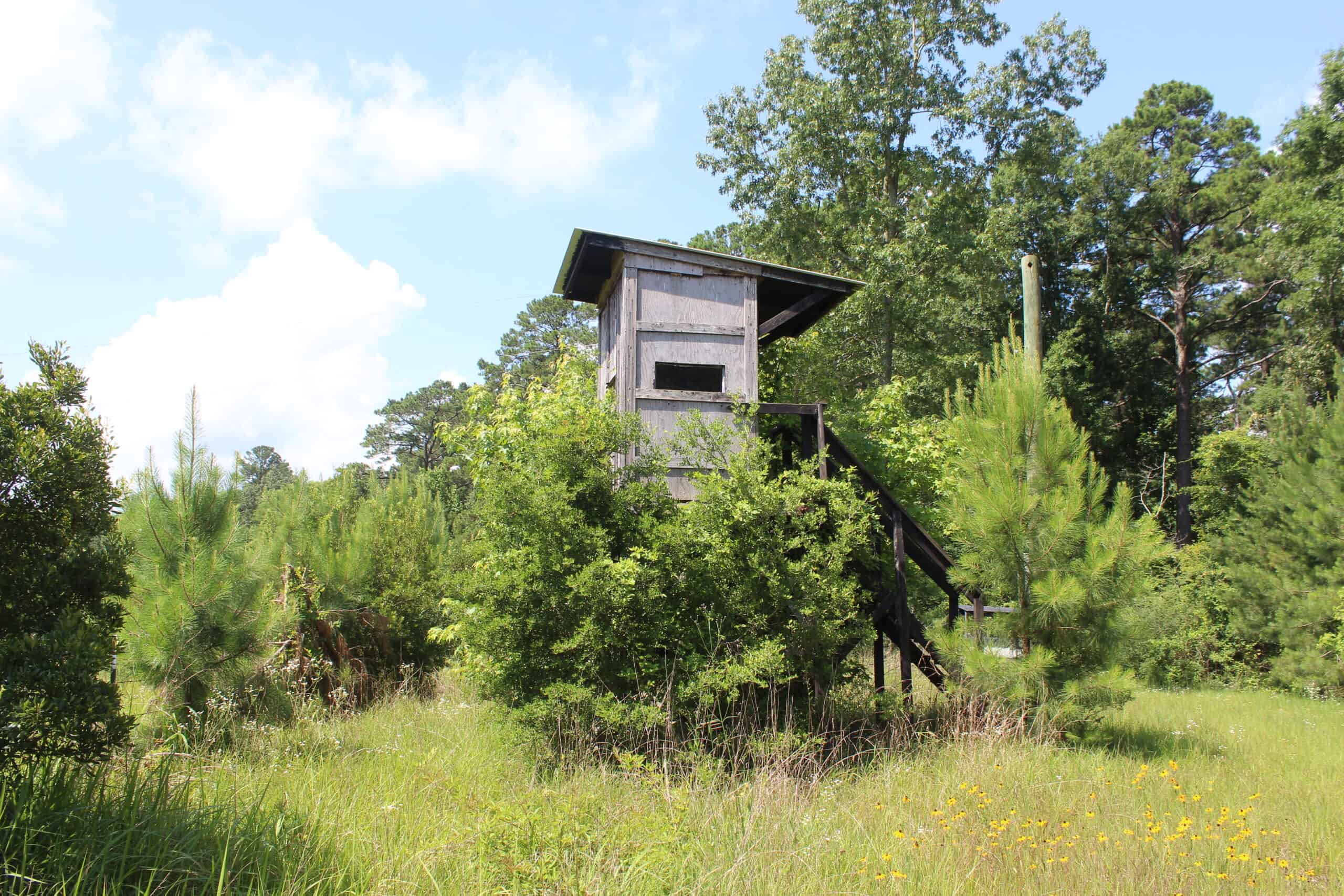 61 Acres and Hunting Camp For Sale Lawrence County Mississippi