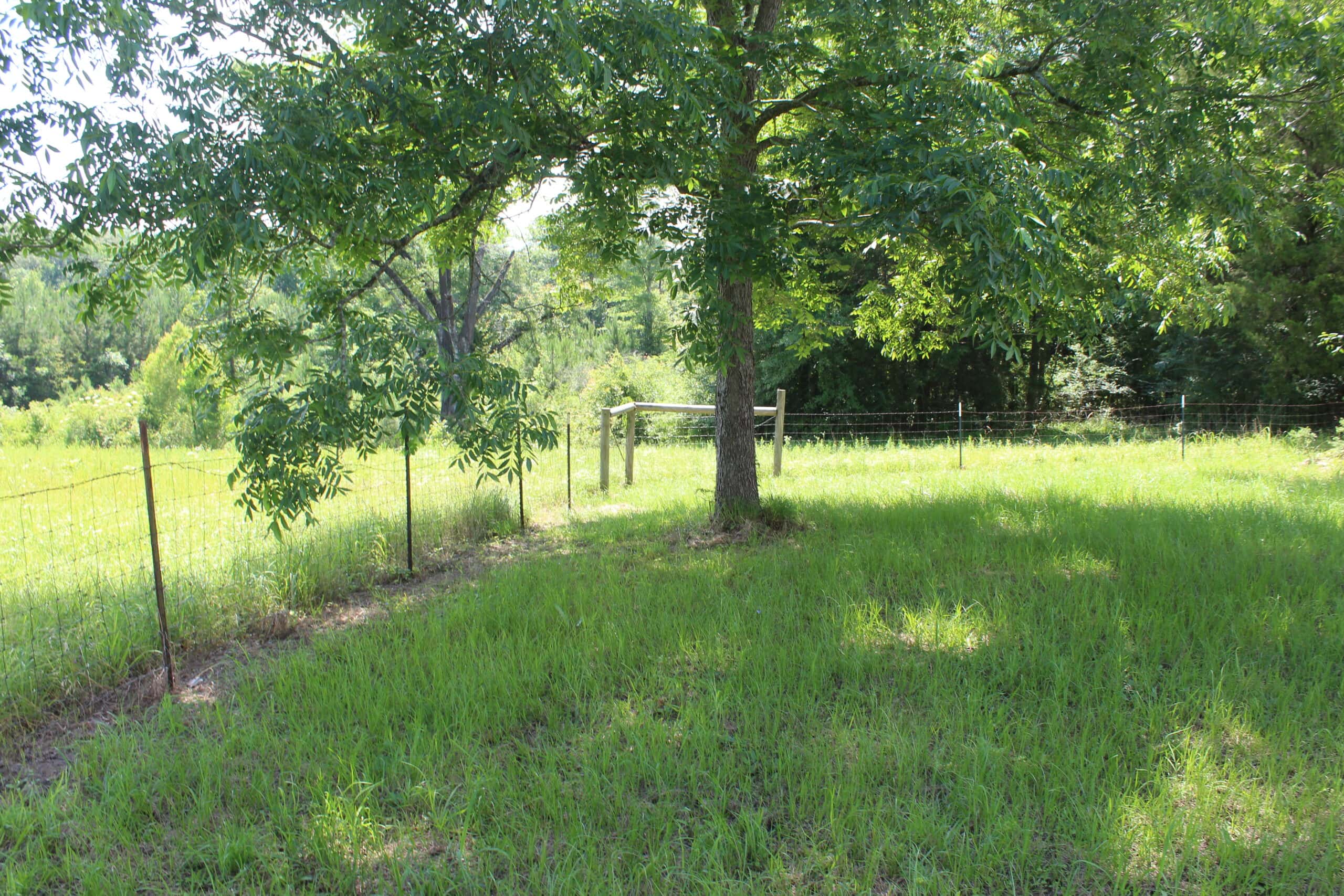 61 Acres and Hunting Camp For Sale Lawrence County Mississippi