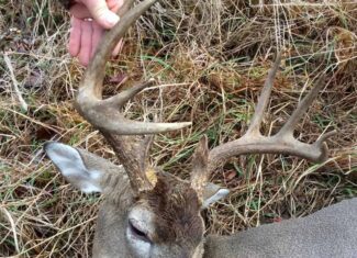 61 Acres and Hunting Camp For Sale Lawrence County Mississippi