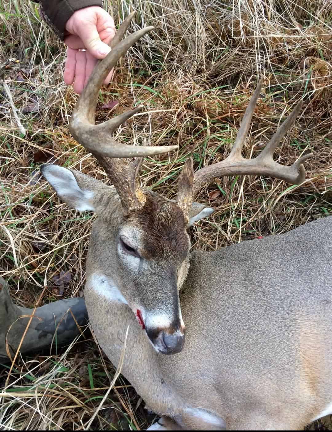 61 Acres and Hunting Camp For Sale Lawrence County Mississippi