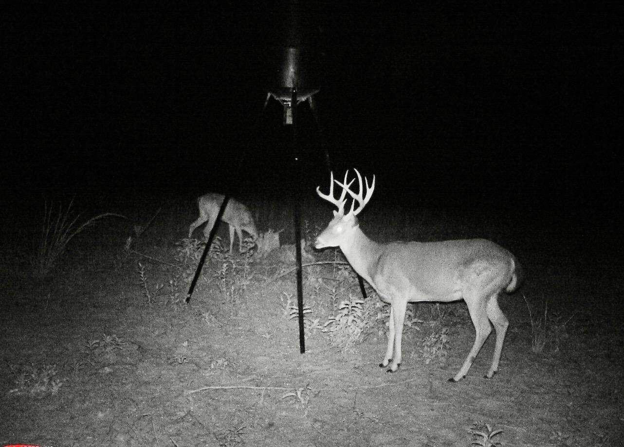 61 Acres and Hunting Camp For Sale Lawrence County Mississippi