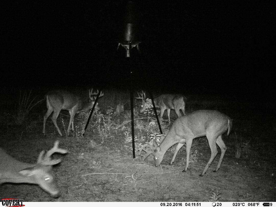 61 Acres and Hunting Camp For Sale Lawrence County Mississippi