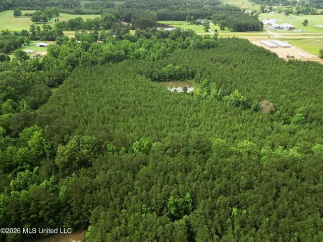 Land for Sale in Brookhaven, MS