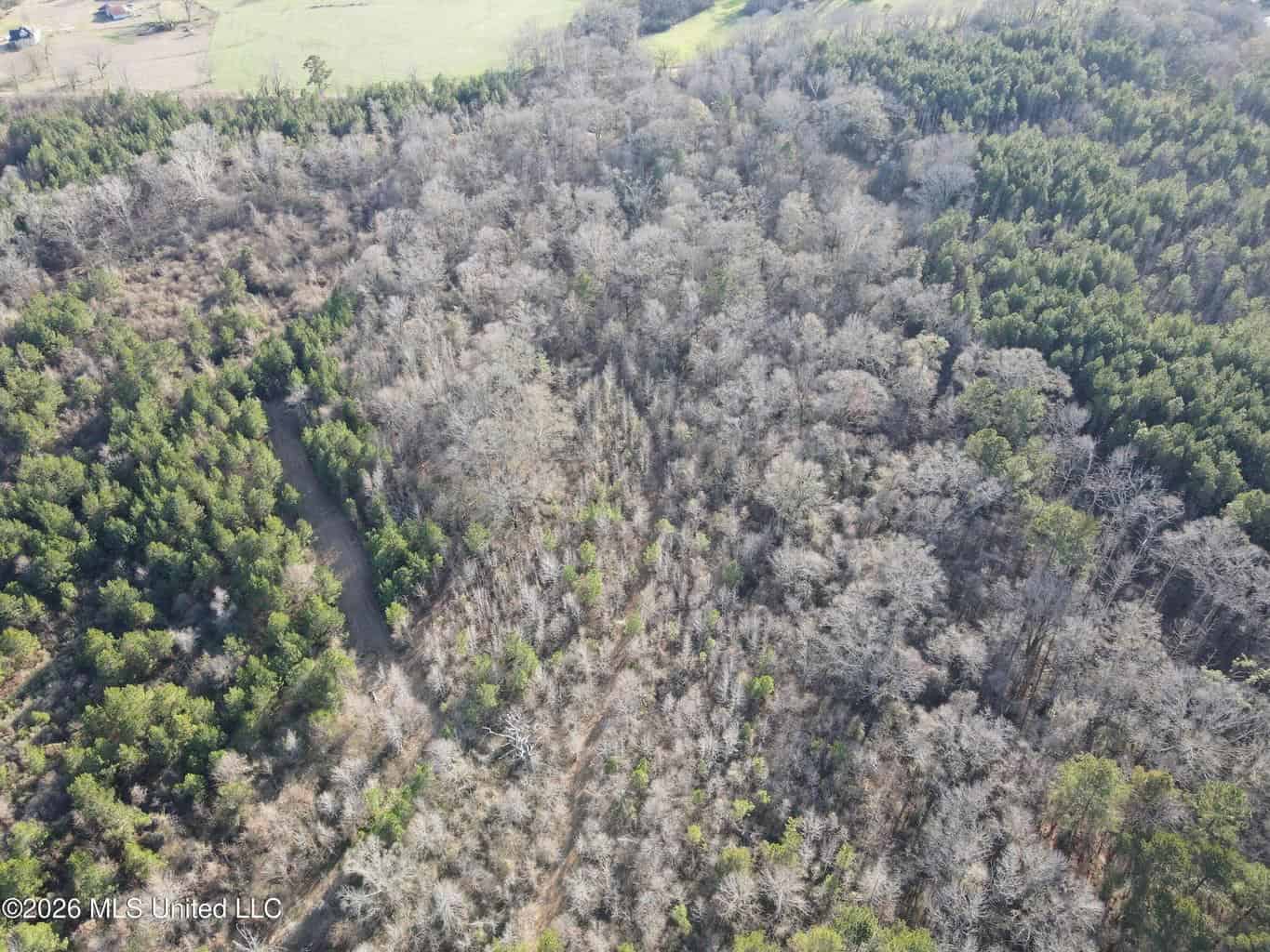 Hazlehurst MS Hunting Land for Sale