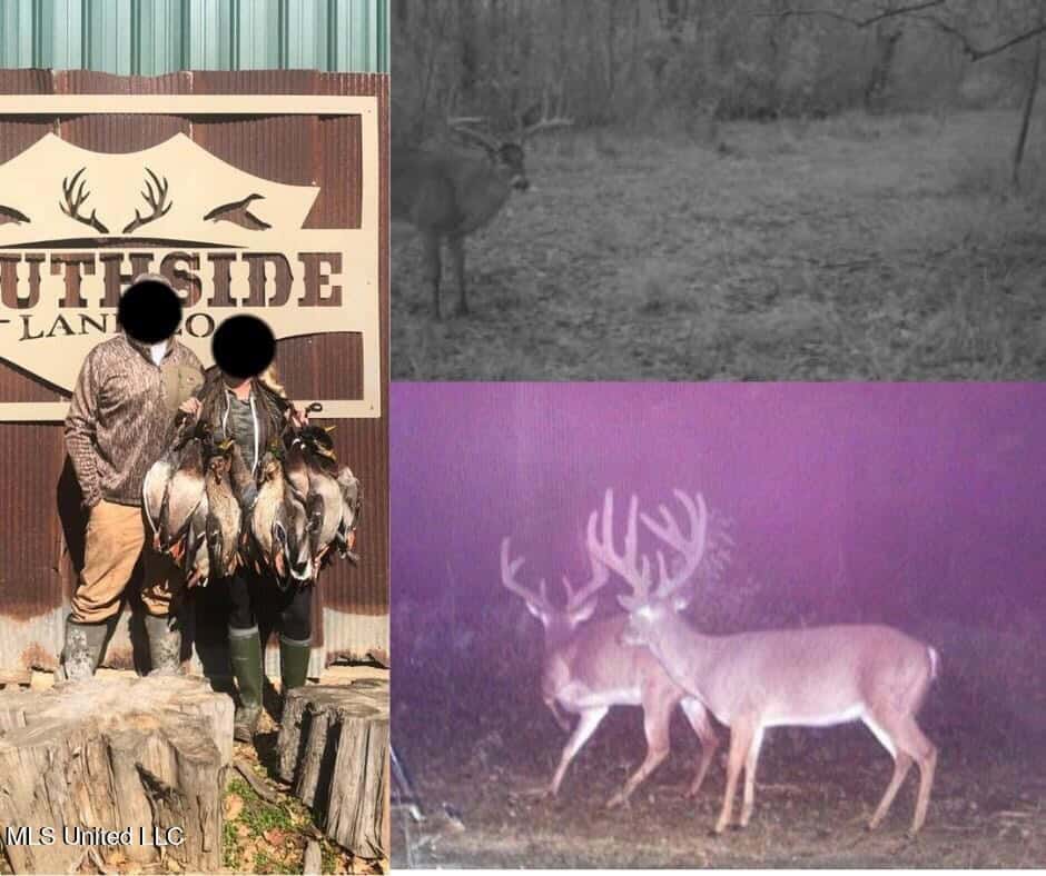 Jefferson County, MS Hunting Club Ownership Share