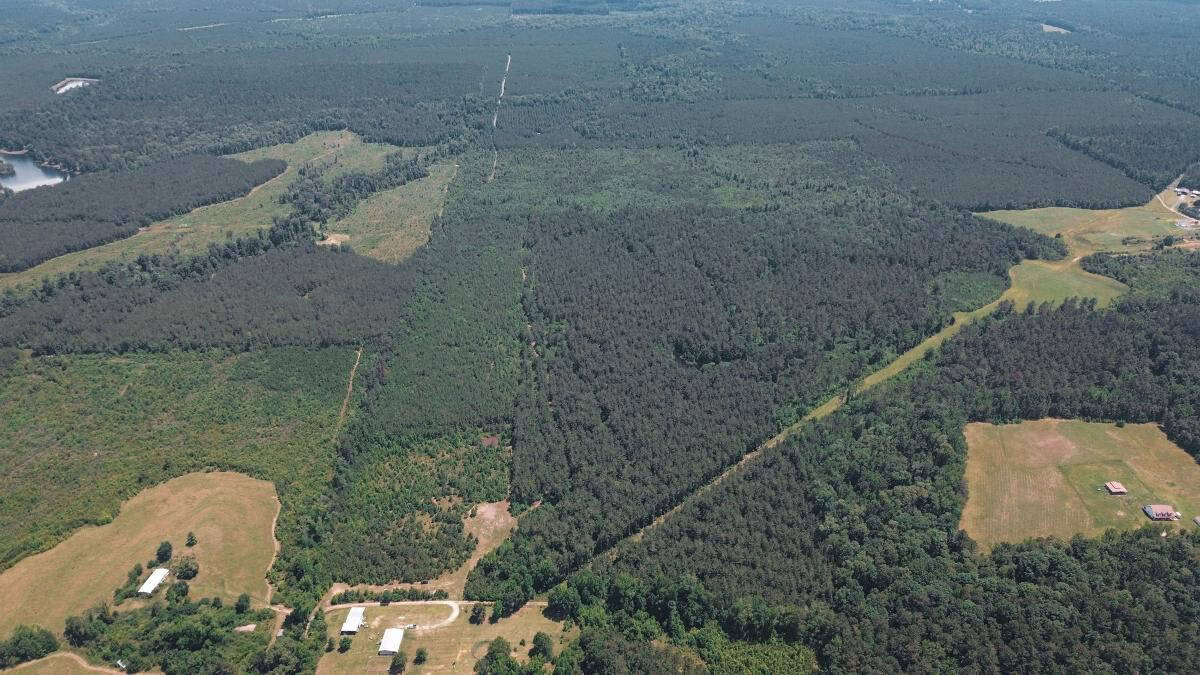 Weston 112 – Timber & Hunting Land in Jackson Parish, LA