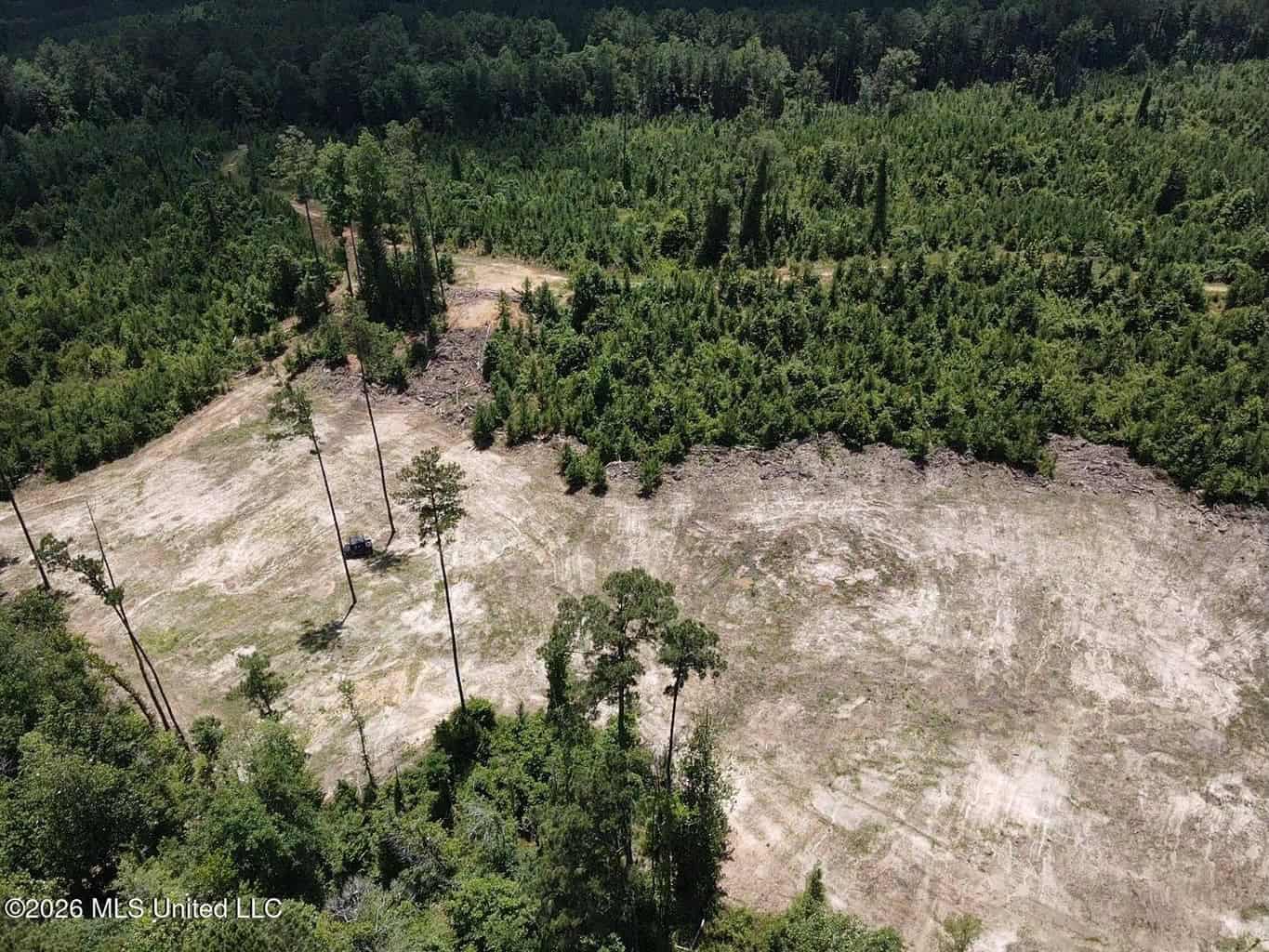 Wilkinson County MS Hunting Land for Sale