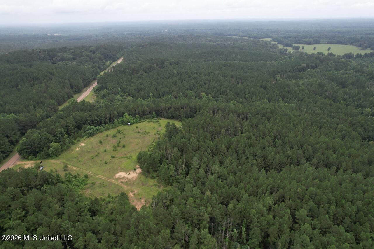 Crosby, MS Hunting Land by Homochitto National Forest