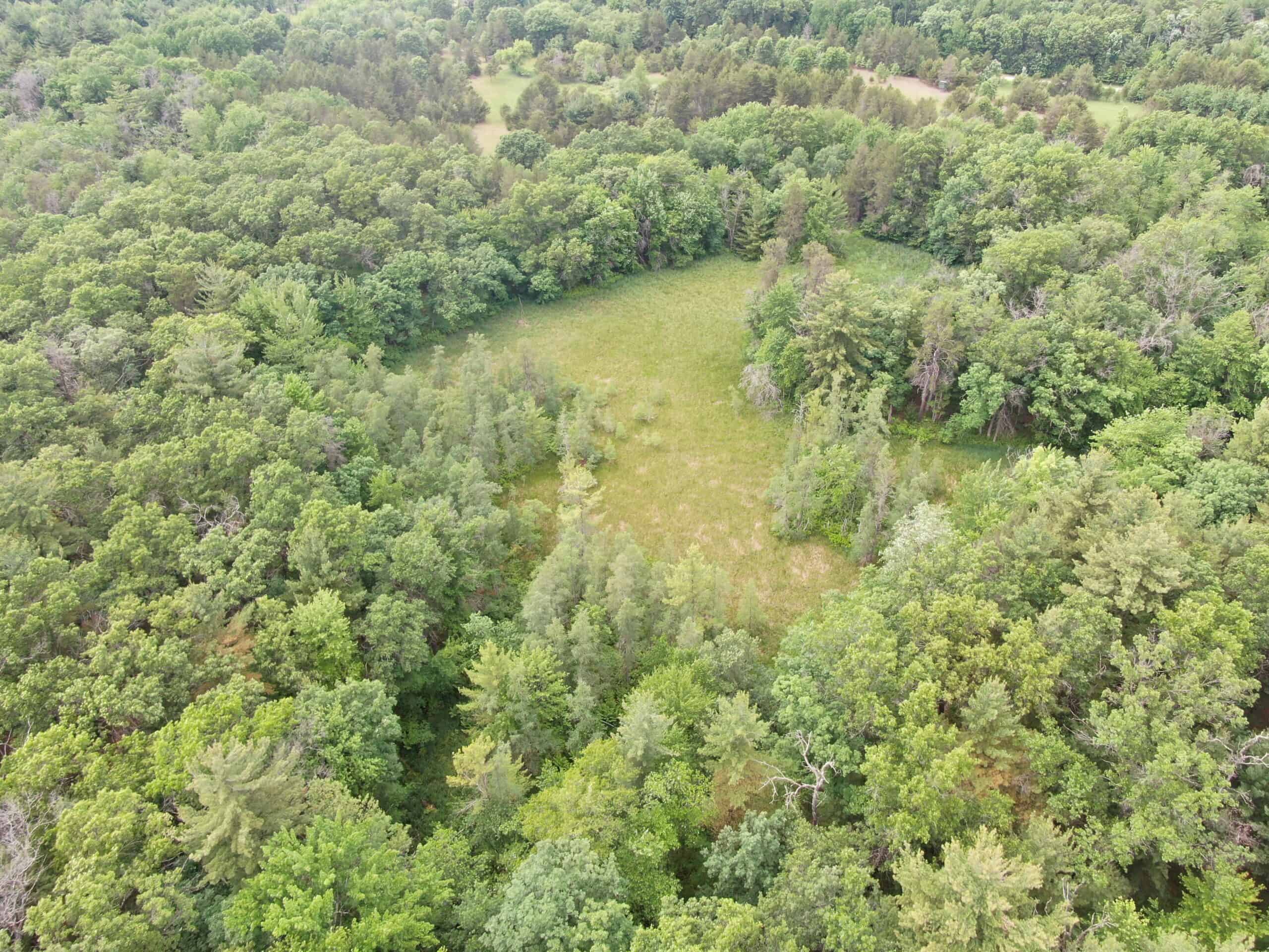 Forty acres in Adams County located in the Town of Strongs Prairie