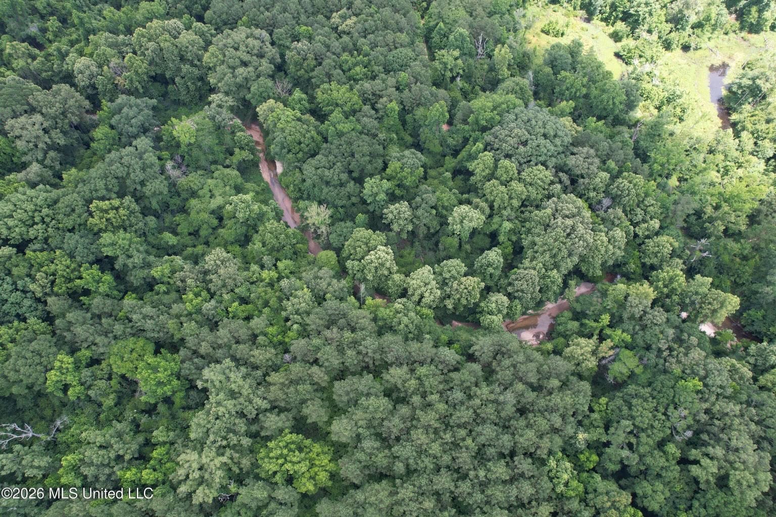44 Acre Hunting Land in Wilkinson County, MS